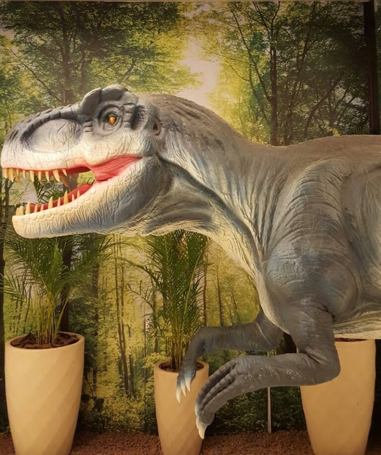 Foto: Divulgação norte Shopping