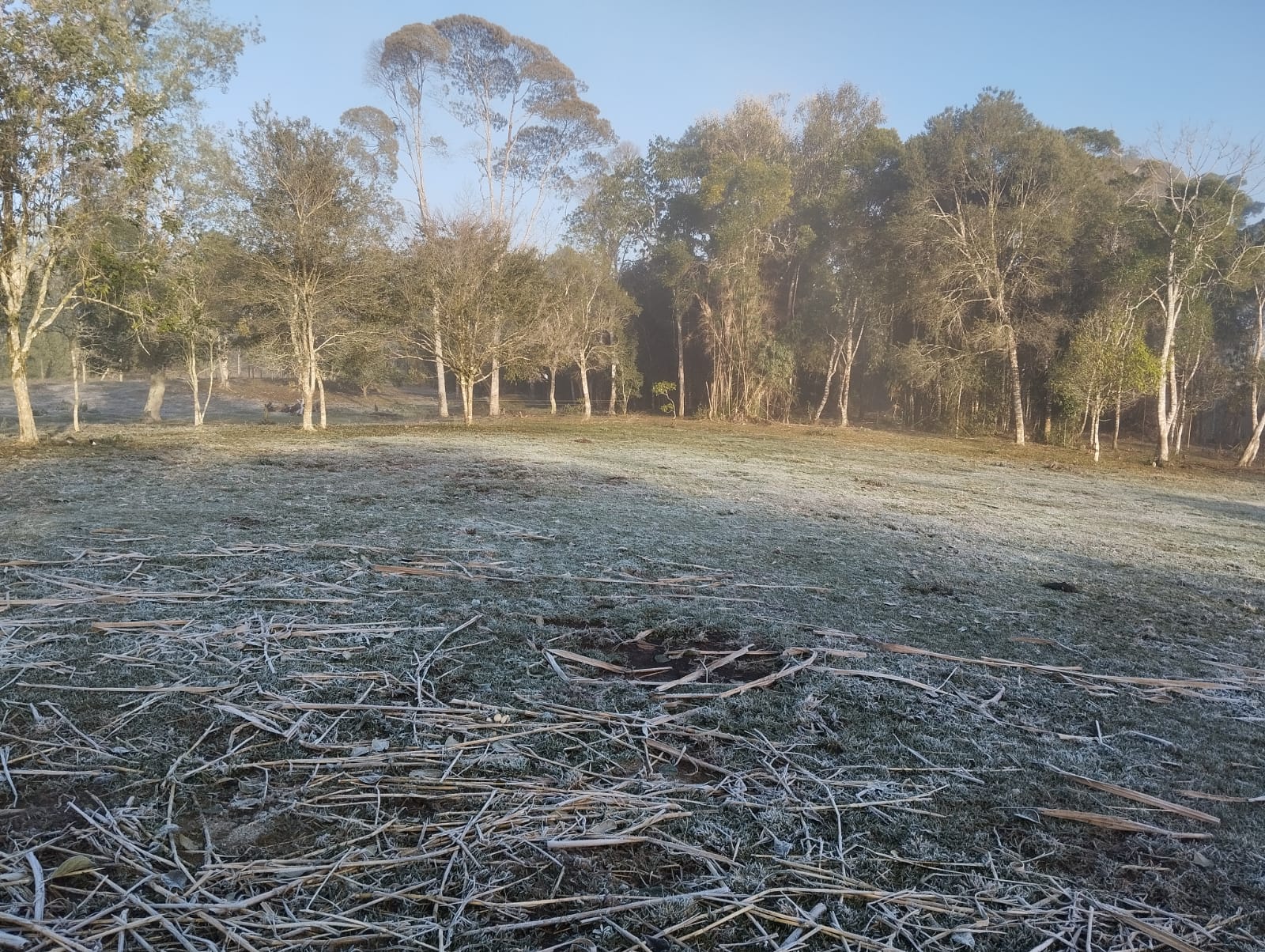 Santa Terezinha, próximo a Taió