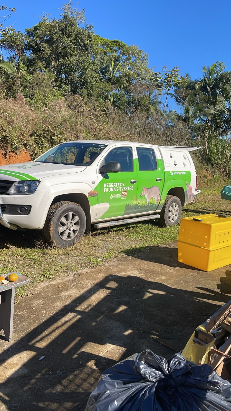 Polícia Civil de Blumenau prende casal por maus-tratos contra cães e gatos
