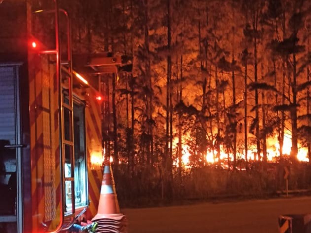 Incêndio de grandes proporções atinge empresa de pellets em Benedito Novo