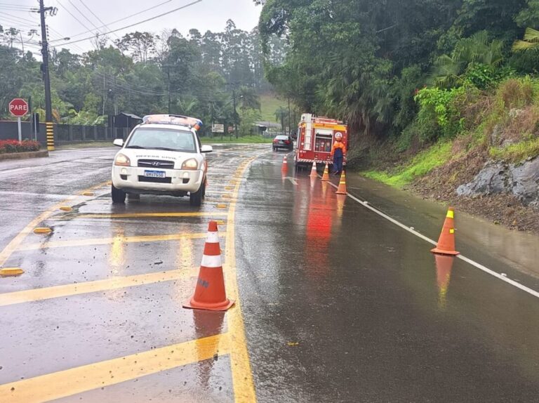 Árvore obstrui parcialmente a Rua 15 de Novembro, em Pomerode