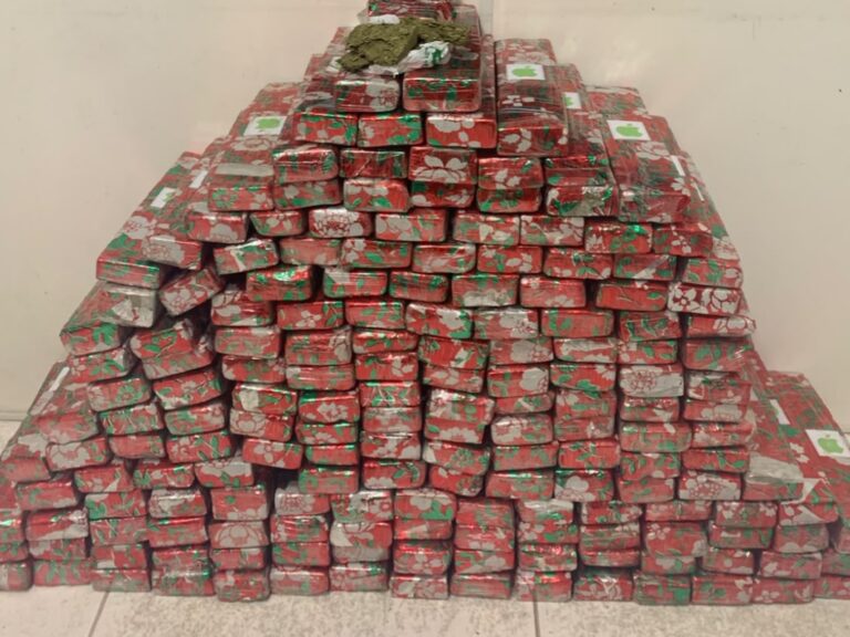 Polícia Militar apreende mais de 144kg de drogas em Blumenau