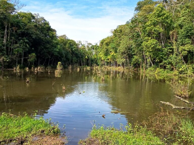 Prefeitura de Pomerode inicia esvaziamento preventivo de lagoa no Morro da Turquia