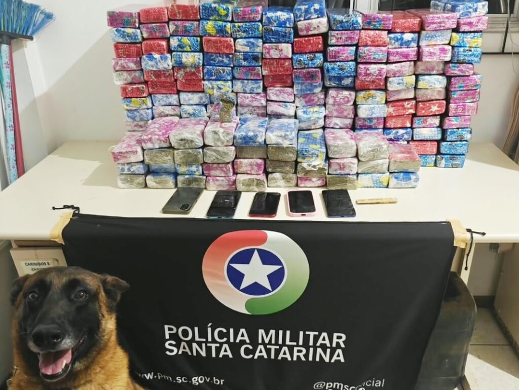 Operação conjunta resulta na apreensão de mais de 104kg de maconha